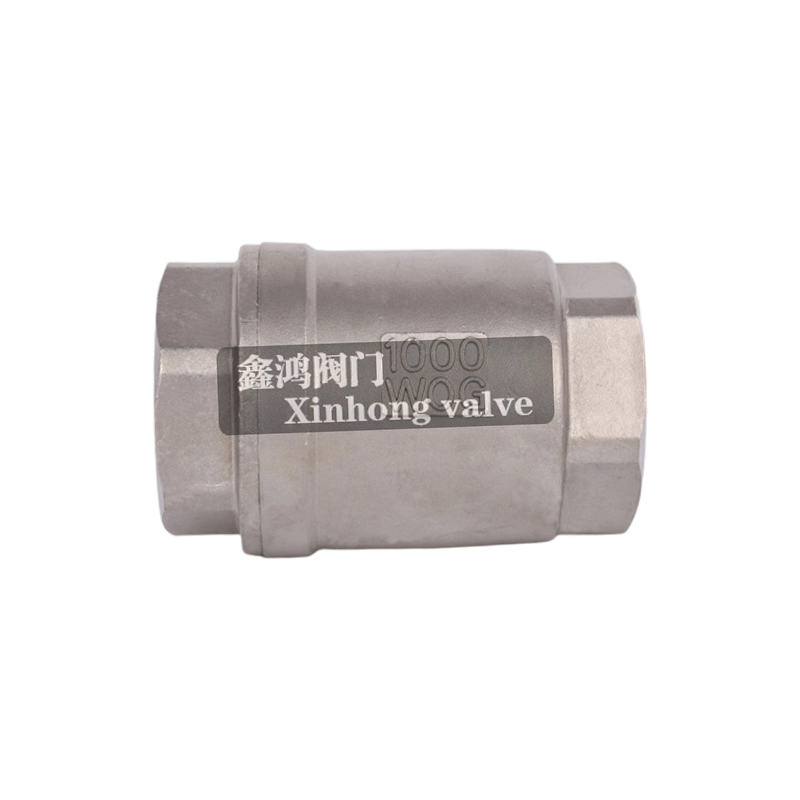 Vertical Stainless Steel Flange Check Valve