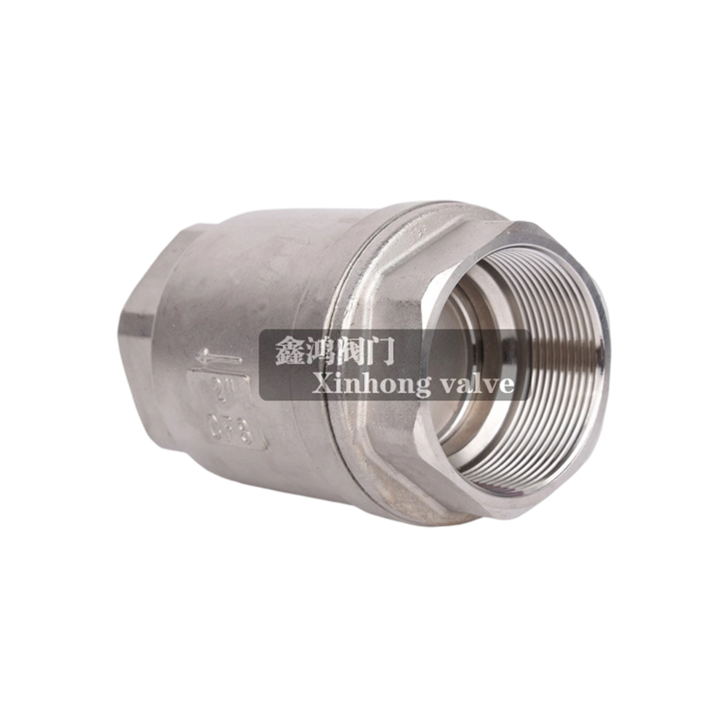 Vertical Stainless Steel Flange Check Valve