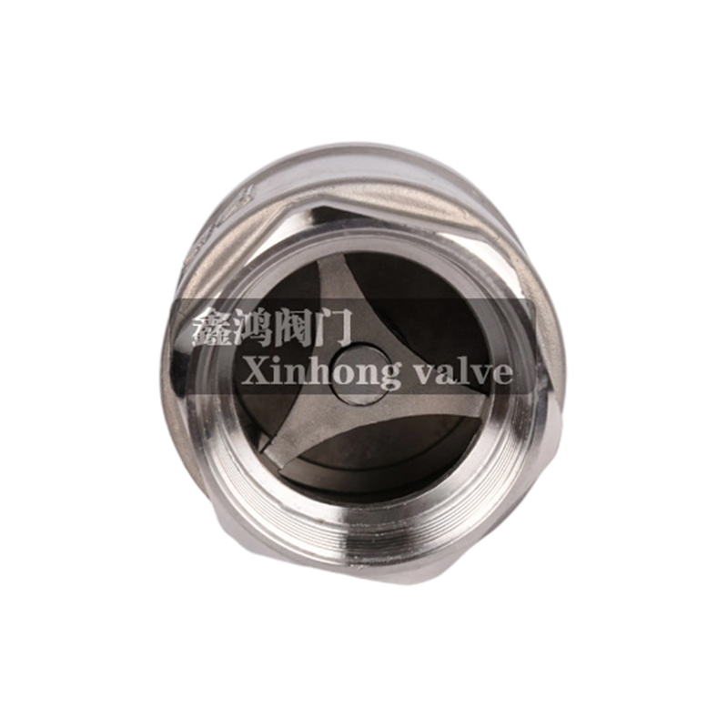 Vertical Stainless Steel Flange Check Valve