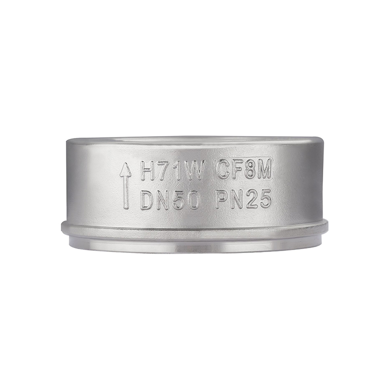 Spring Type Metal Wafer Check Valve
